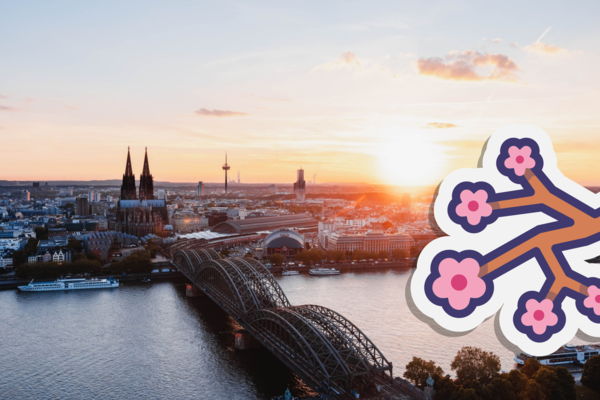 Stamp Jackson and Procter Kingston upon Hull, United Kingdom Office