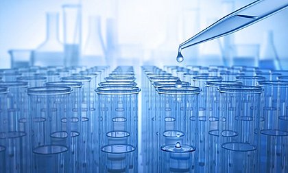 Roxin Rechtsanwlte LLP Munich, Germany Office