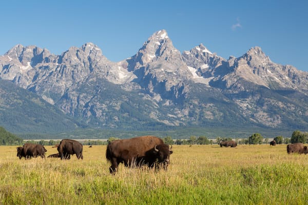 Halloran Farkas + Kittila LLP Jackson, WY Office