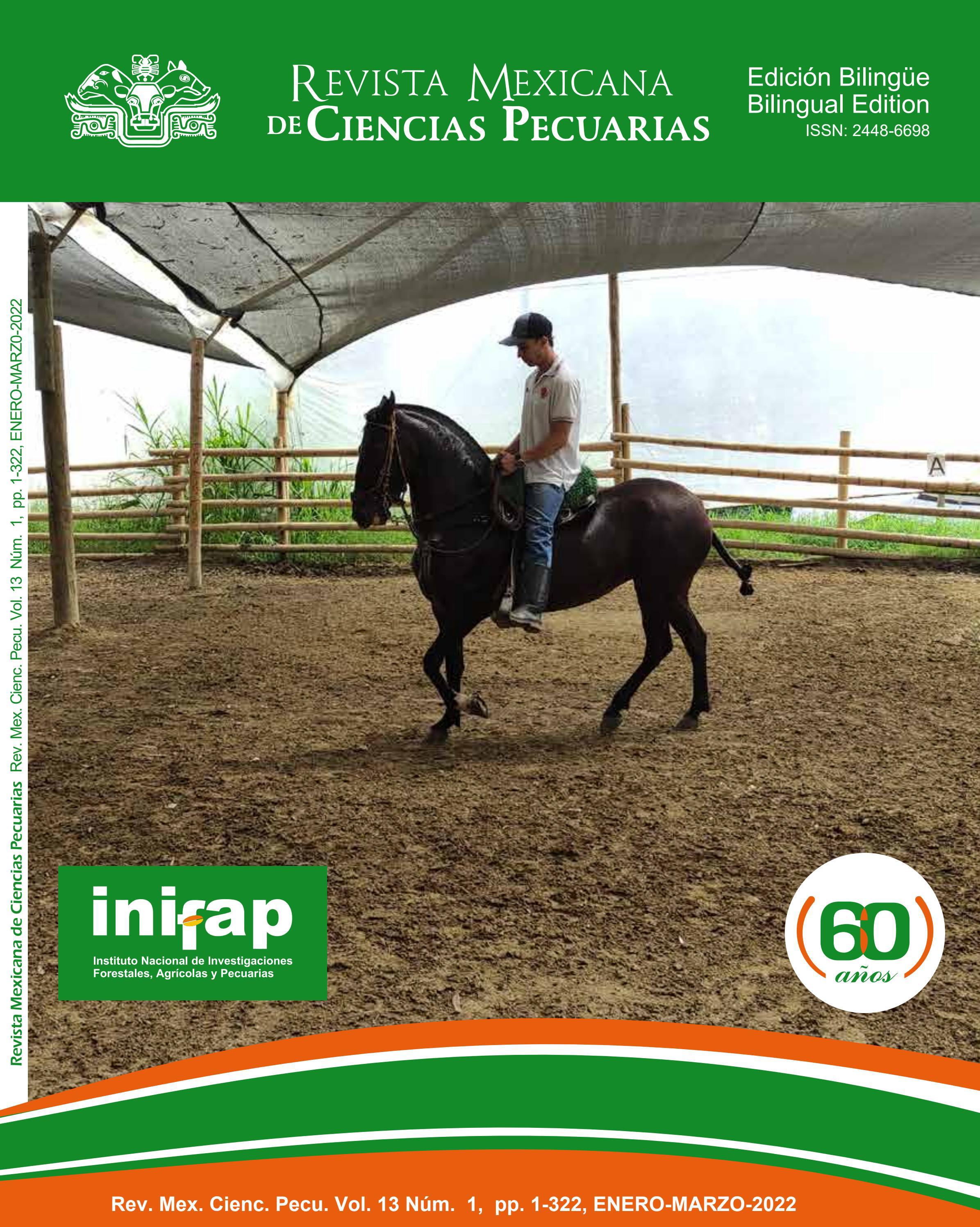 Ibarra, del Paso y Gallego, S.C Mexico Office