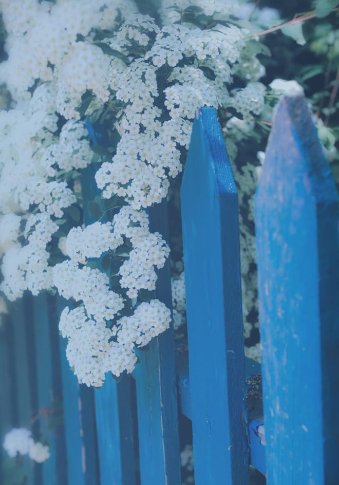 Fox, Shjeflo, Hartley & Babu LLP San Mateo, CA Office