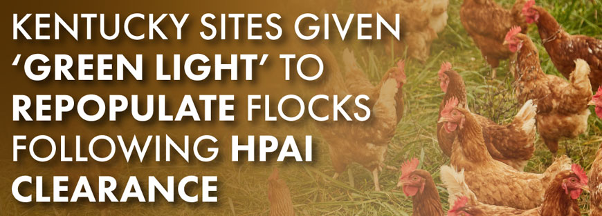 Christopher M. Hill and Associates, P.S.C Frankfort, KY Office