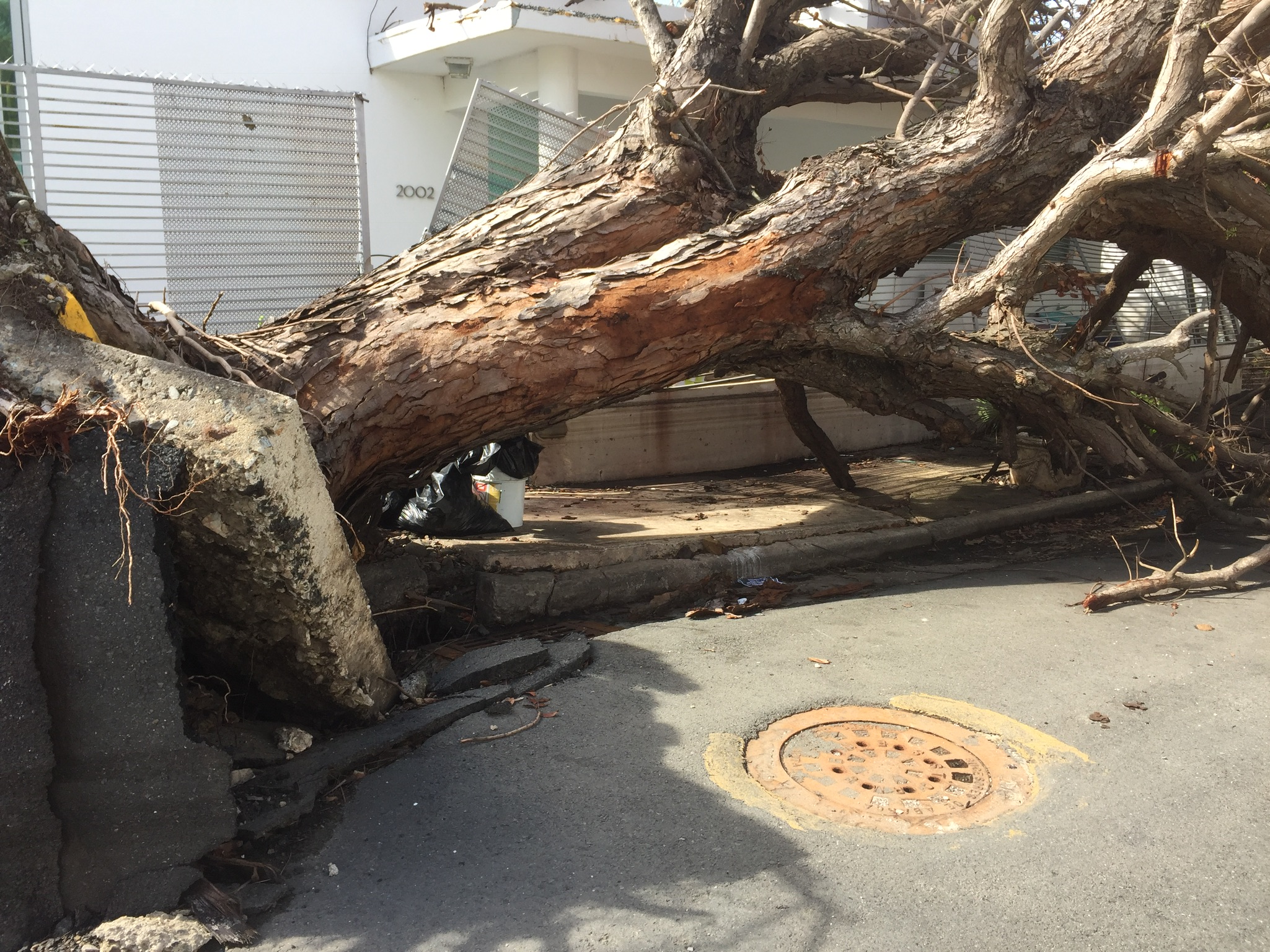 1-800-LAW-FIRM Southfield, MI Office