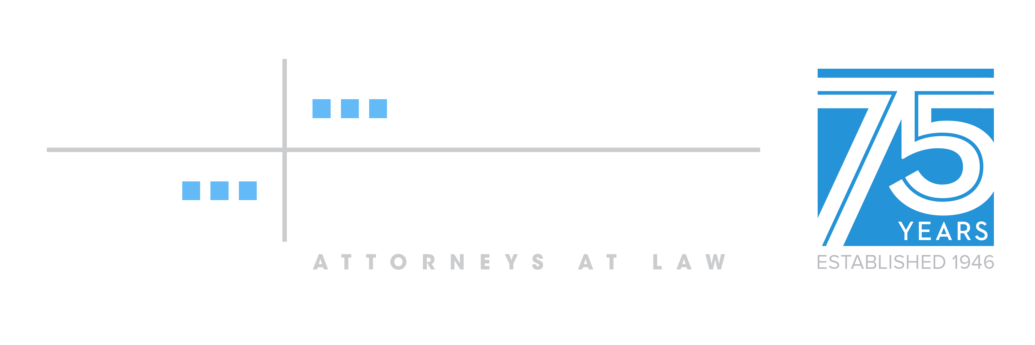 Jaspan Schlesinger Narendran LLP Garden City, NY Office
