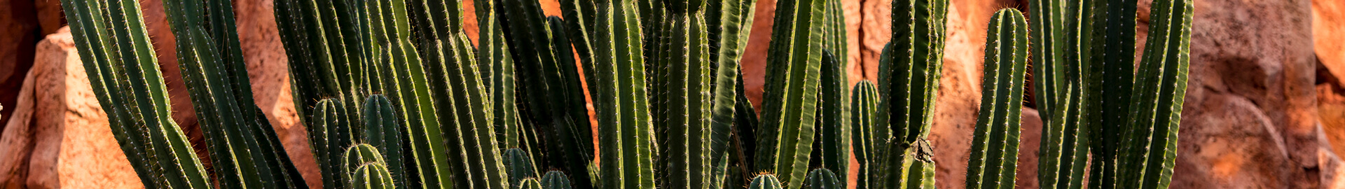 Holden Willits, PLC Phoenix, AZ Office