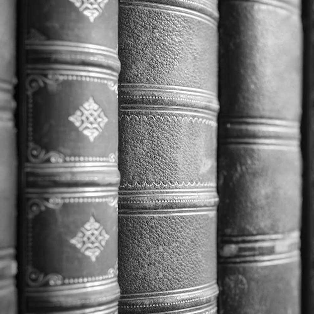 Ottosen DiNolfo Hasenbalg & Castaldo, Ltd Woodstock, IL Office