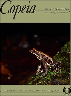 Wang Pengnan & Co Dalian, China Office