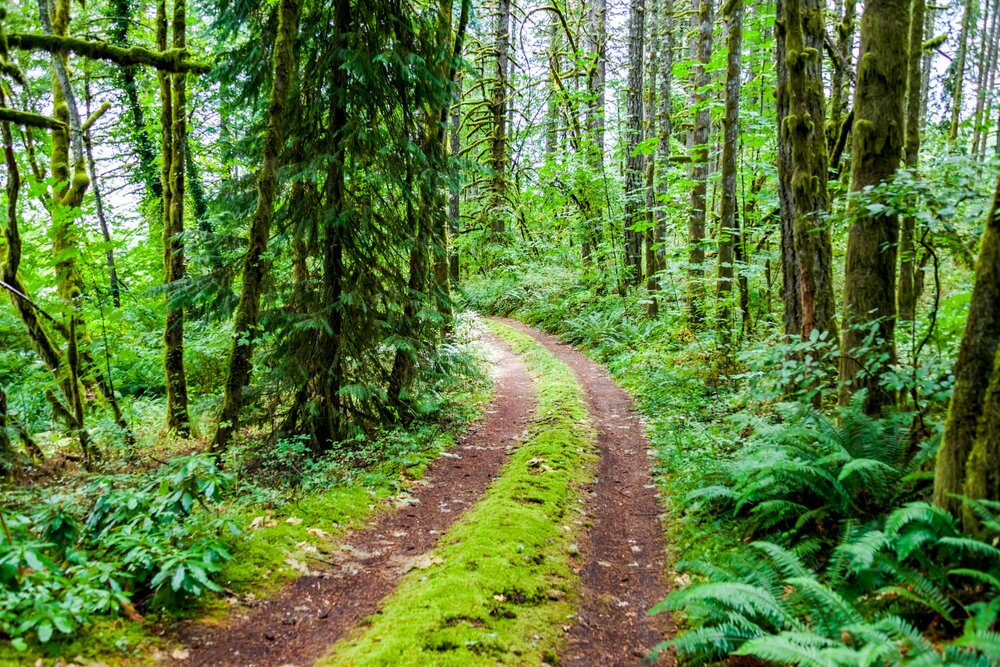 Bryant Emerson, LLP Redmond, OR Office