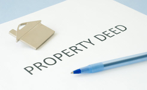 Cloud & Willis, LLC Mobile, AL Office