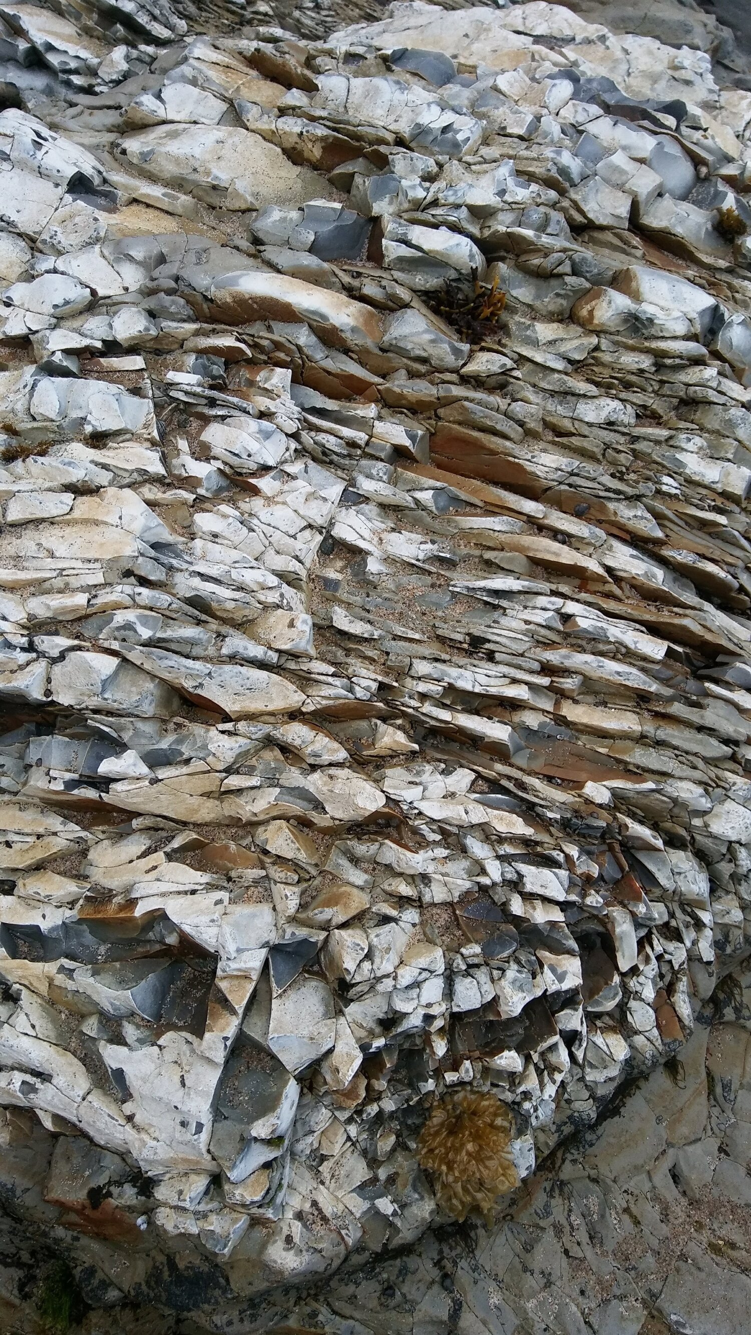 Atchison, Barisone & Condotti, APC Santa Cruz, CA Office