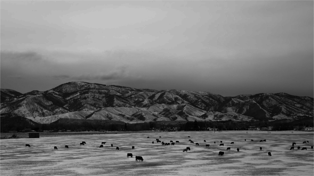 Burnham Law Fort Collins, CO Office