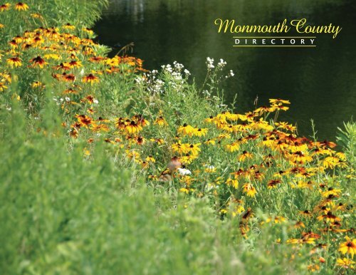 Camassa Law Firm, P.C Wall,  Office