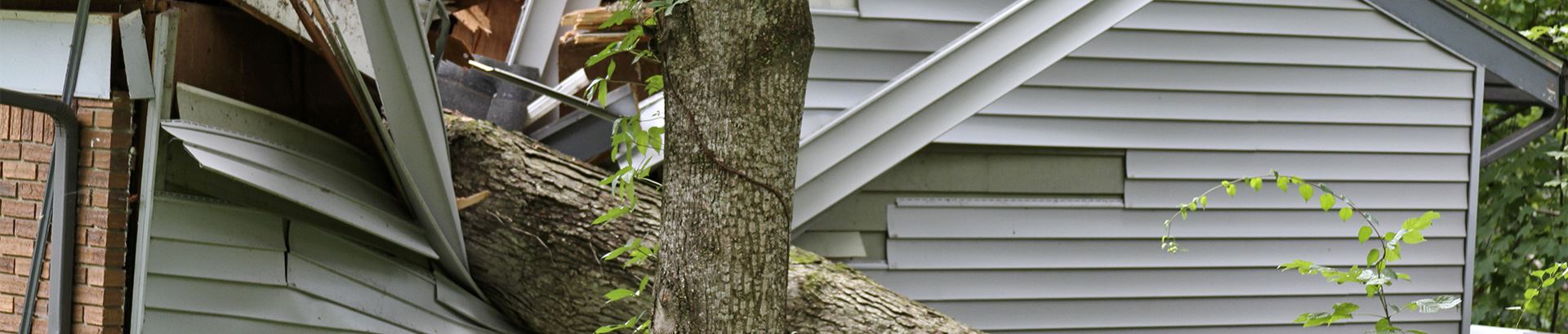 Chopin Law Firm LLC New Orleans,  Office