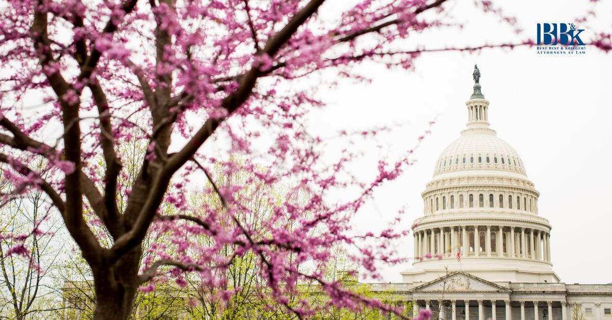 Cognition IP Washington City, DC Office