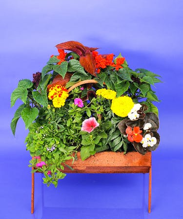 Lyons & Tzanoudakis, LLP Danvers,  Office