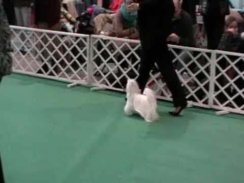 Reynolds, Casas & Riley, L.L.P Los Altos, CA Office