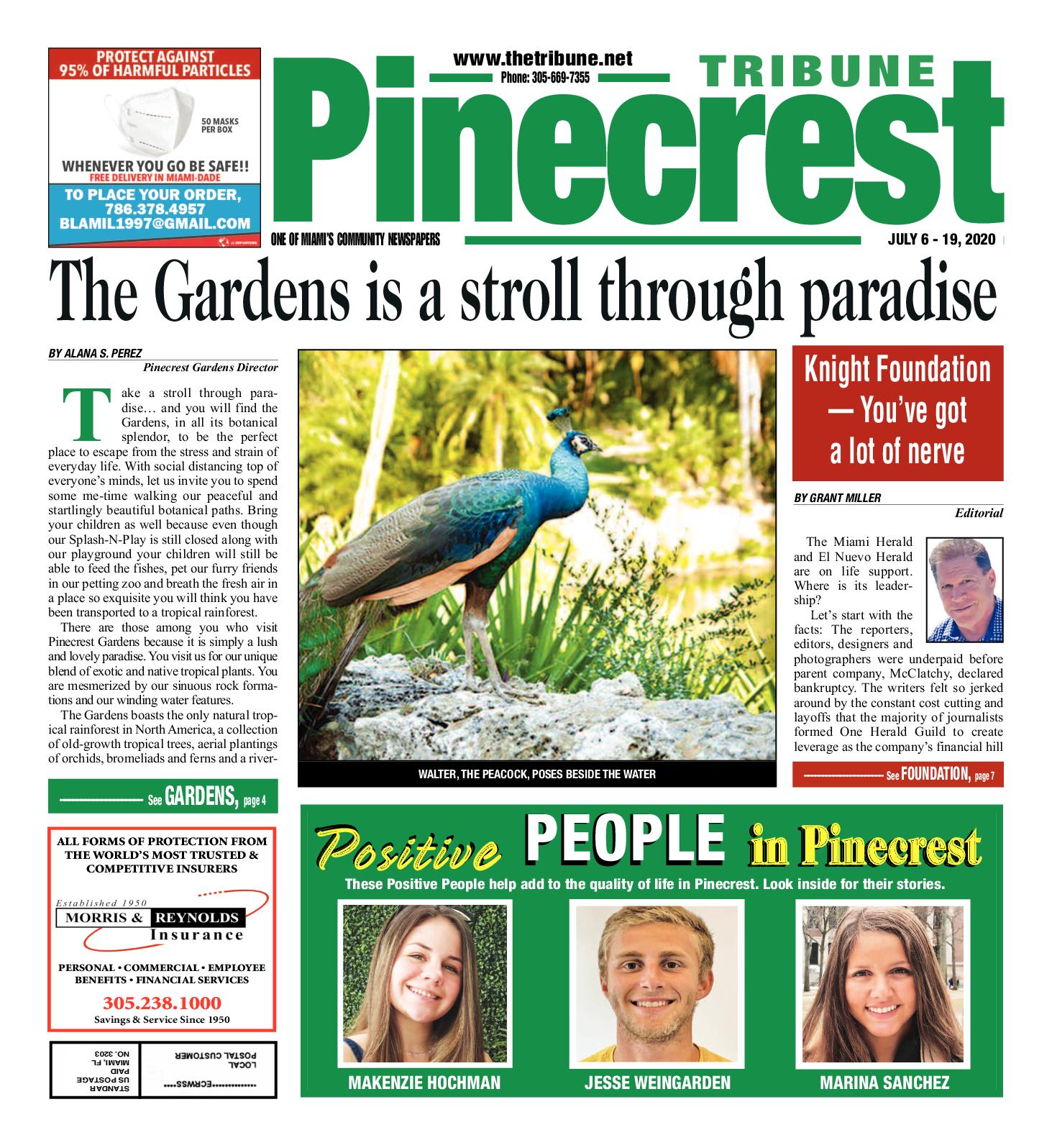 Falk, Waas, Hernandez, Solomon, Mendlestein & Davis, P. A Coral Gables, FL Office