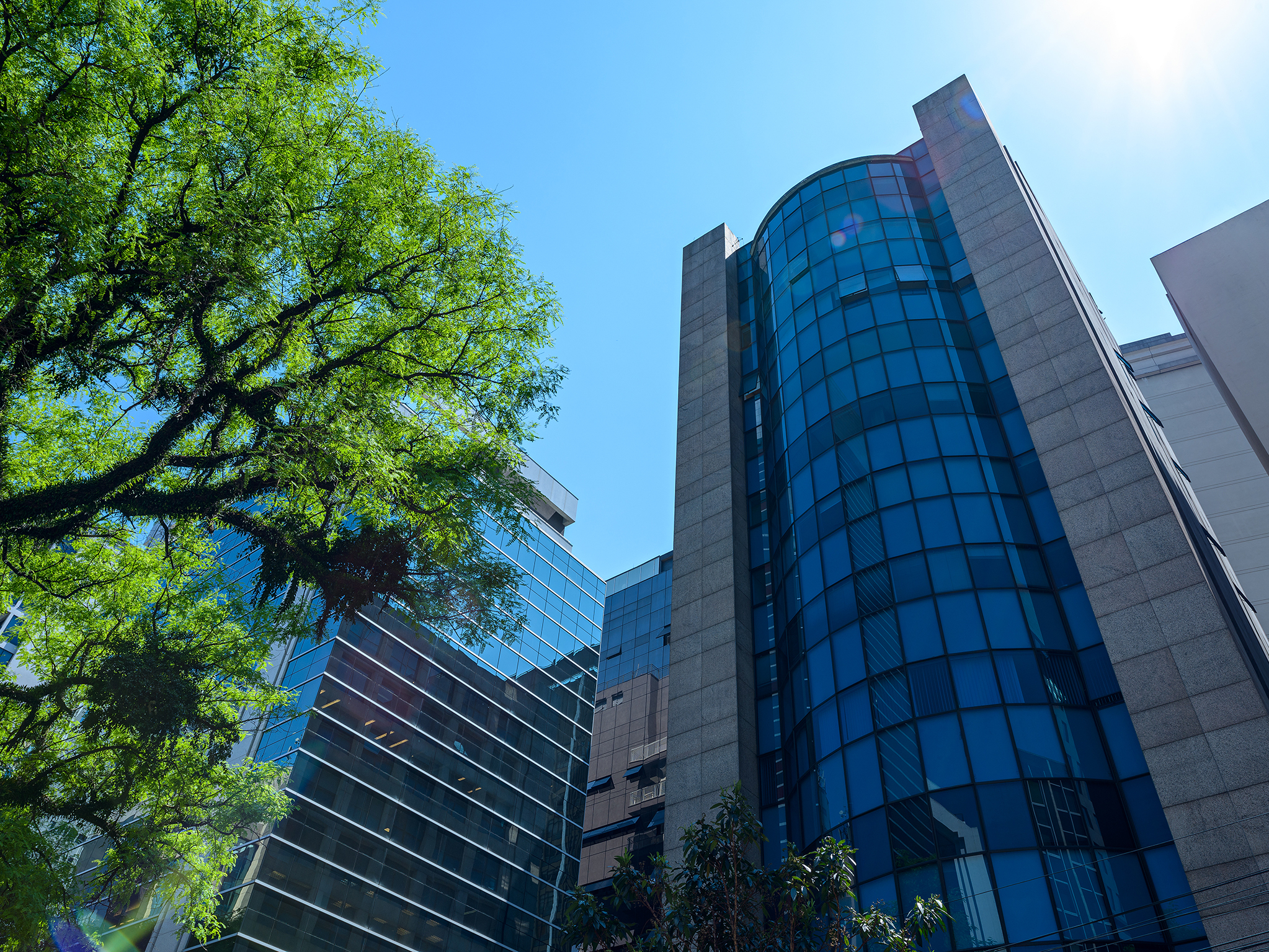 DiCiero & Mello Franco Rio de Janeiro, Brazil Office