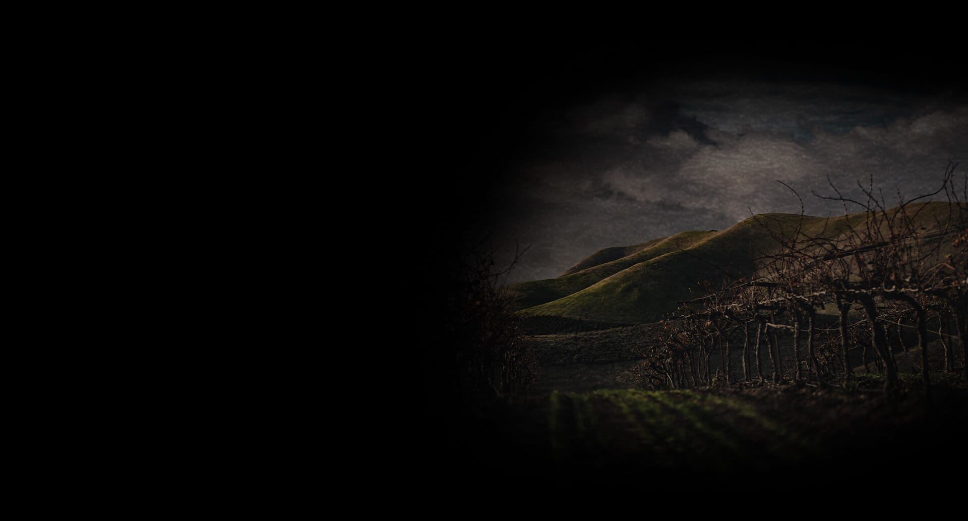 Abbey, Weitzenberg, Warren & Emery Santa Rosa, CA Office