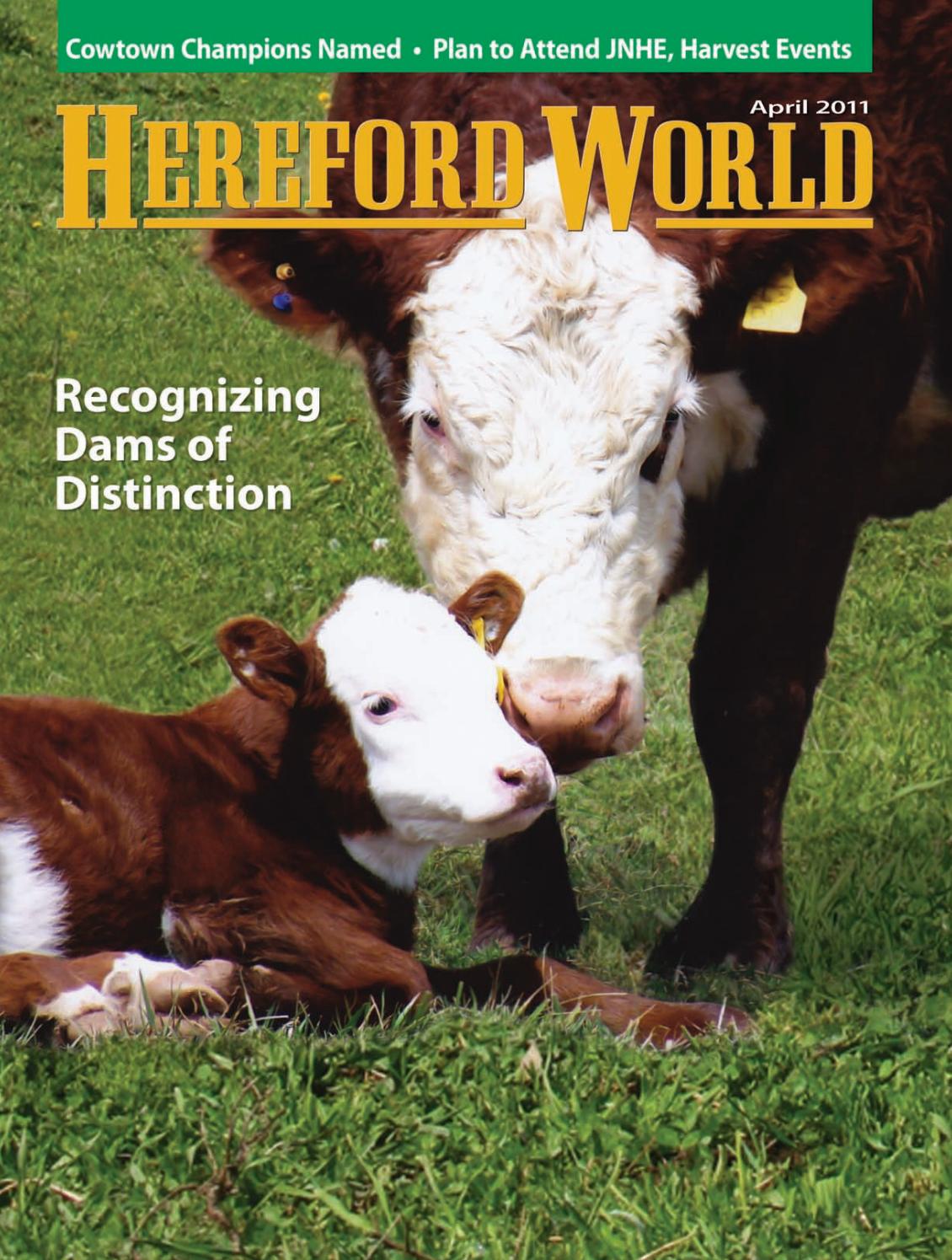 The Crisp Law Firm, PLLC Berlin, NH Office