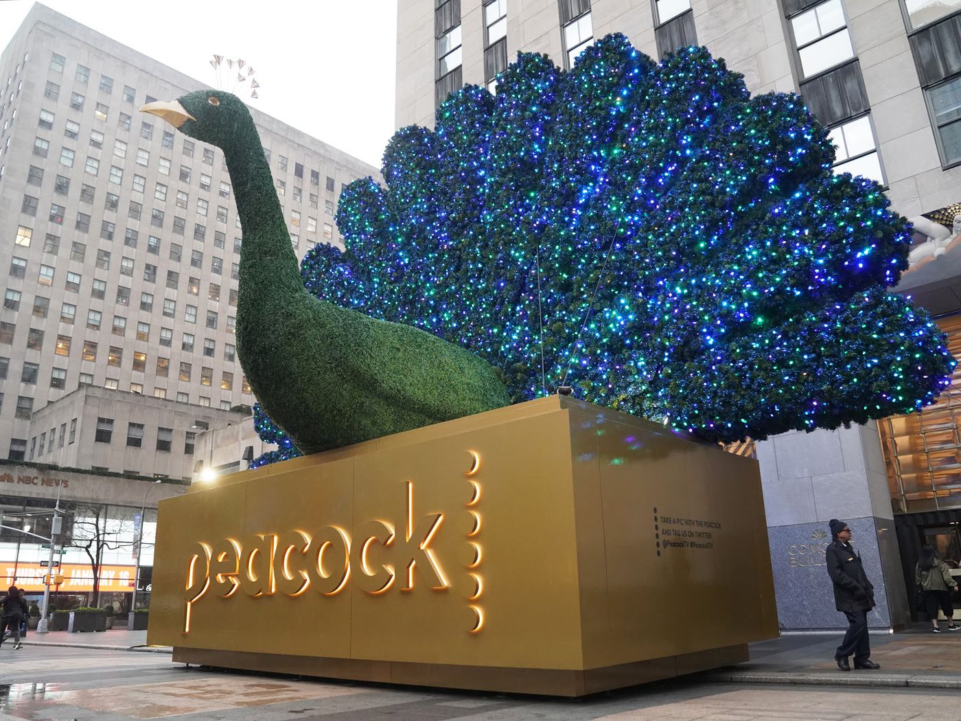 Peacock Law P.C New York City, NY Office