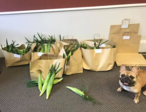 Charles Boyk Law Offices, LLC Swanton, OH Office