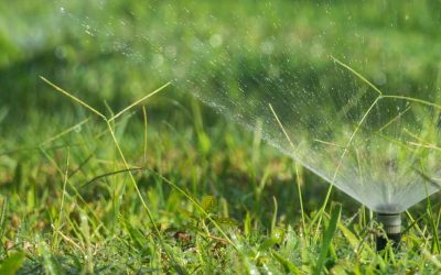 Wolff, Hislop & Crockett Spokane Valley,  Office