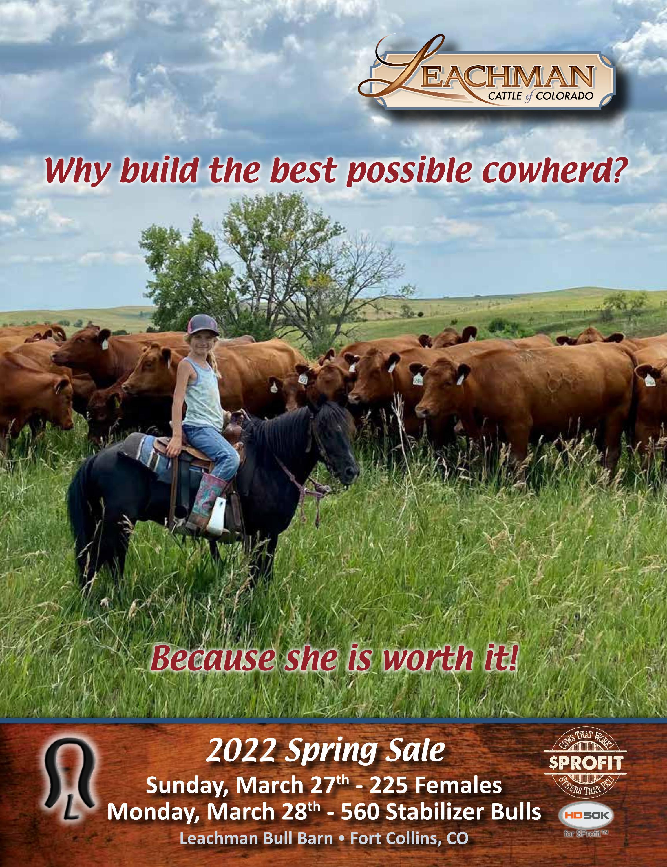 Mark A. Leachman PC Broomfield, CO Office