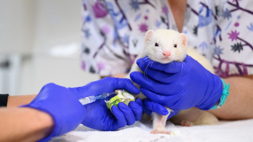 Odin Law and Media Raleigh,  Office