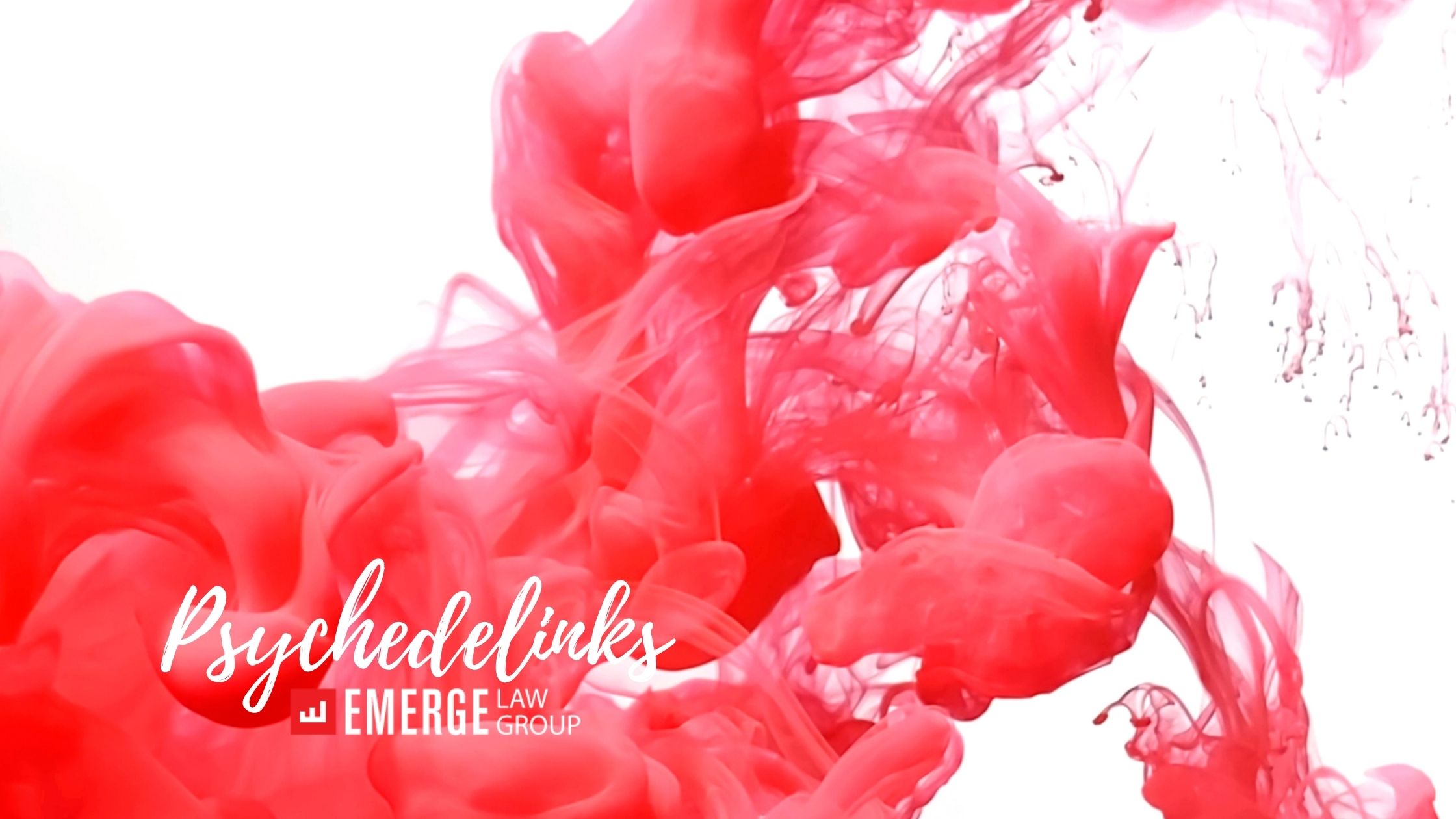 Emerge Law Group Portland,  Office