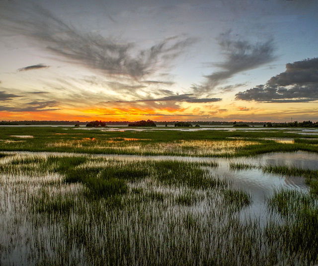 Luzuriaga Mims, LLP Charleston,  Office