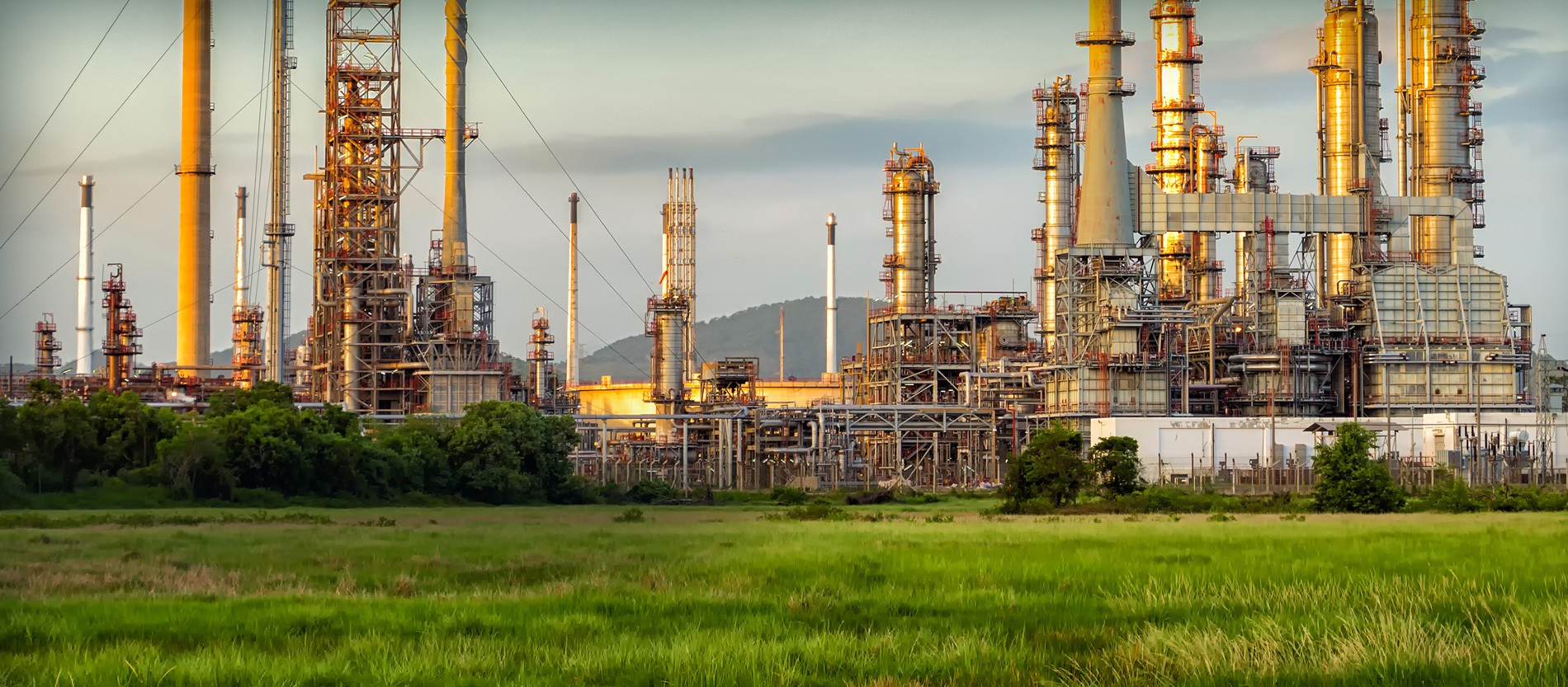 Royston Rayzor Brownsville, TX Office