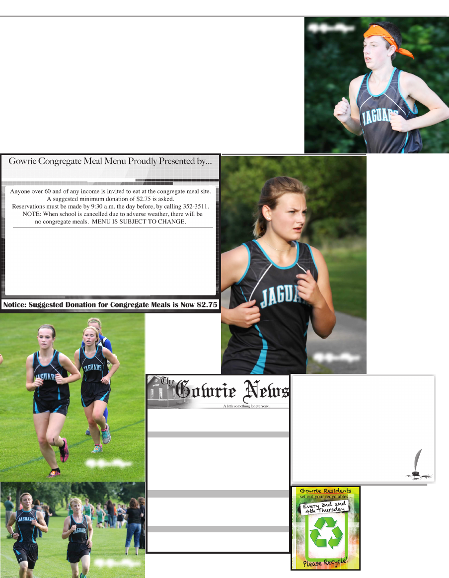 Johnson, Kramer, Mulholland, Cochrane & Cochrane, P.L.C Gowrie, IA Office