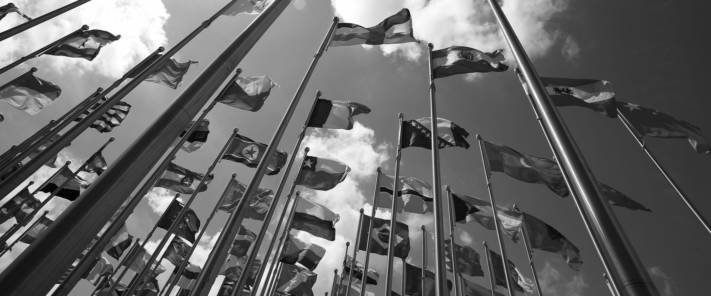 White Shaver Law Firm Dallas, TX Office