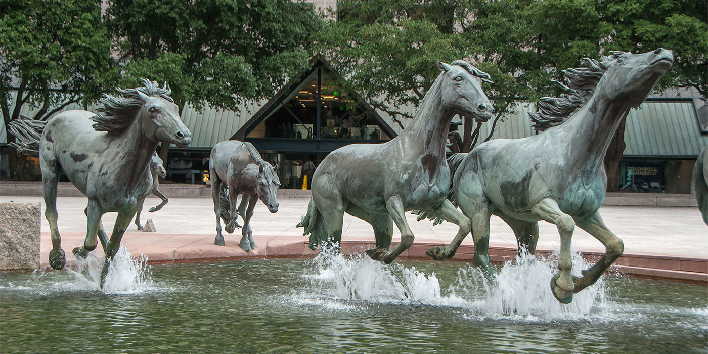 Lasater & Martin, P.C Highlands Ranch, CO Office