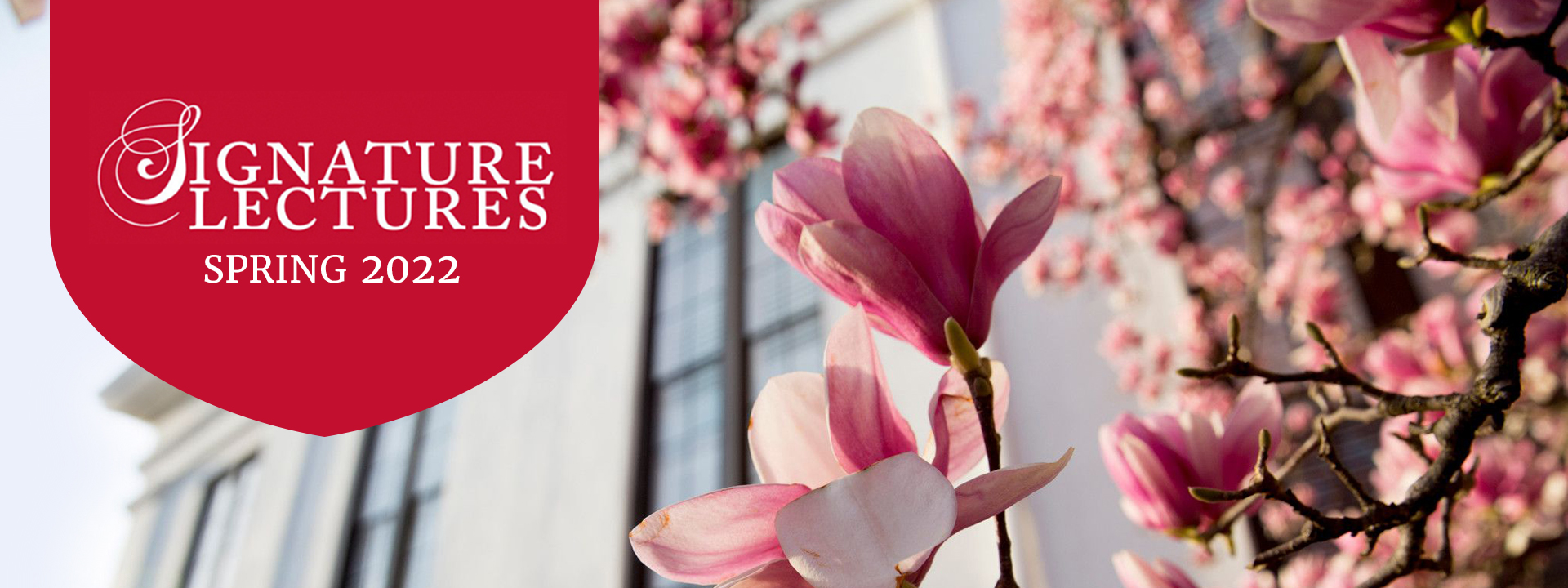 A. Russell Blank & Associates, PC Snellville, GA Office