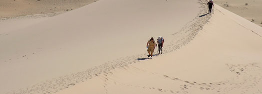 Lehman, Lee & Xu Ulaanbaatar, Mongolia Office