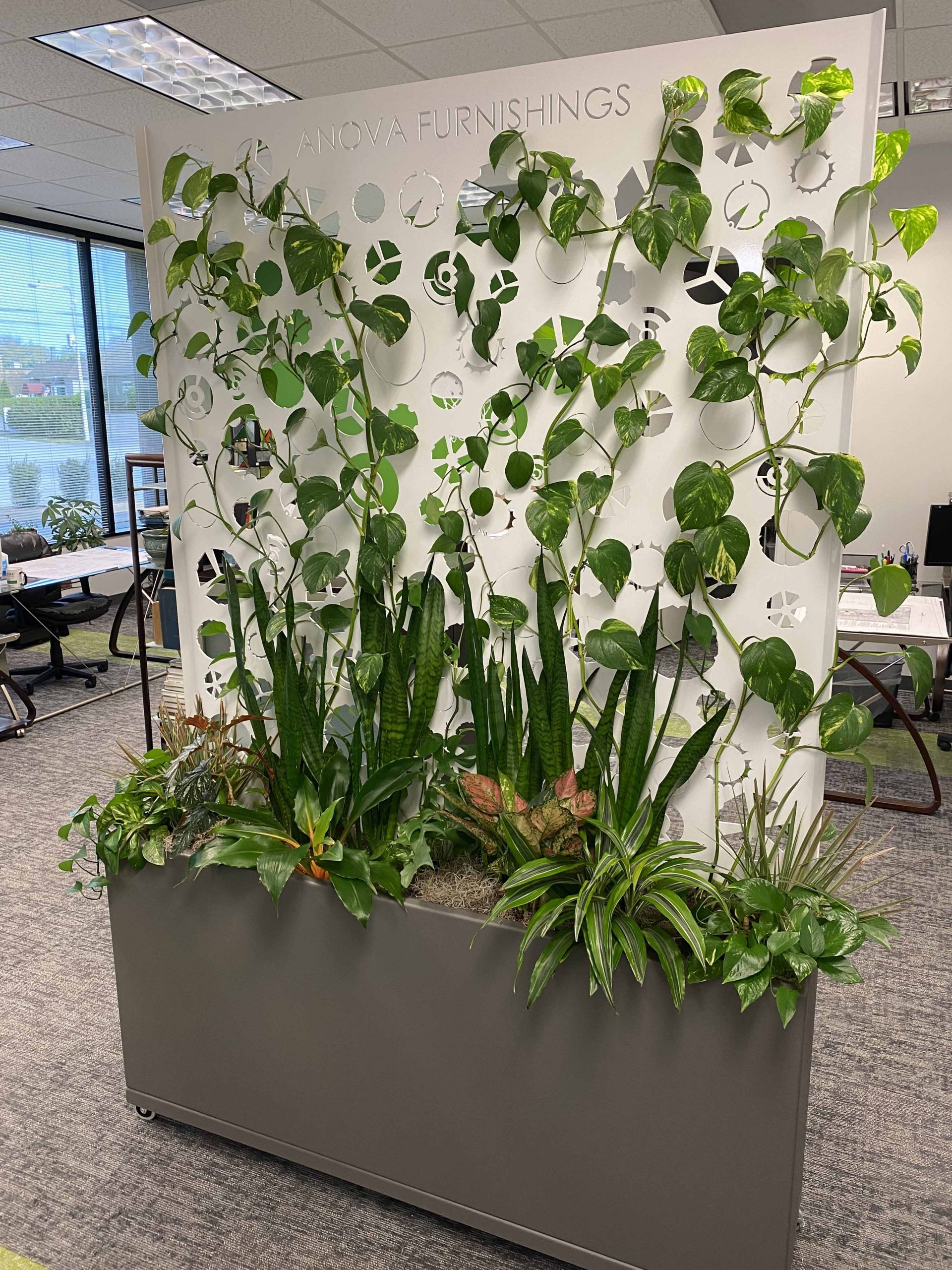 Blair Mediation Memphis,  Office