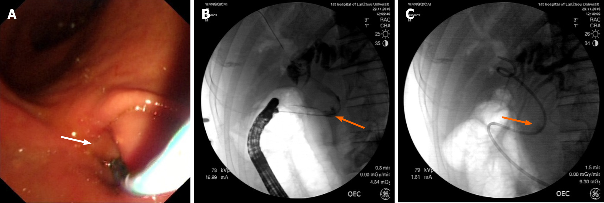 Lehman, Lee & Xu Lanzhou, China Office