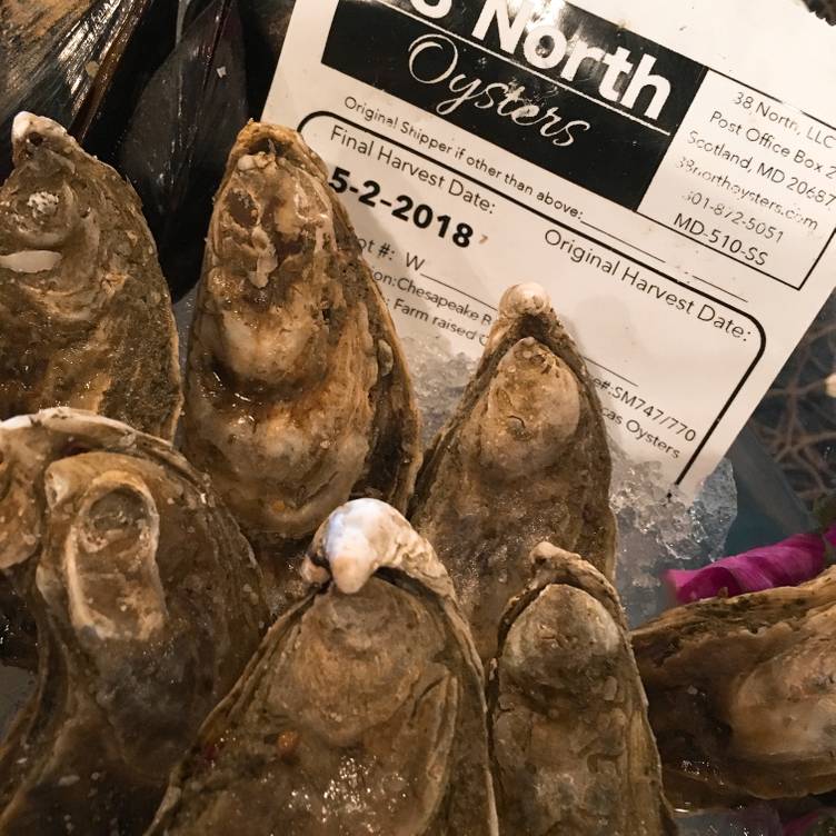 Brown Family Law, LLC Orem, UT Office