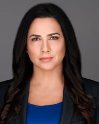 The Lomnitzer Law Firm, P.A Boca Raton,  Office