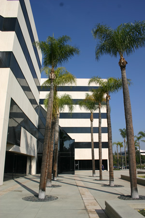 Alvarez-Glasman & Colvin, Attorneys At Law City Of Industry, CA Office