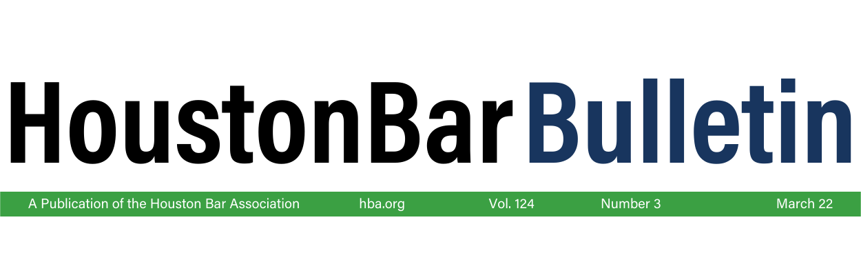 Law Office of Norma Levine Trusch Houston,  Office