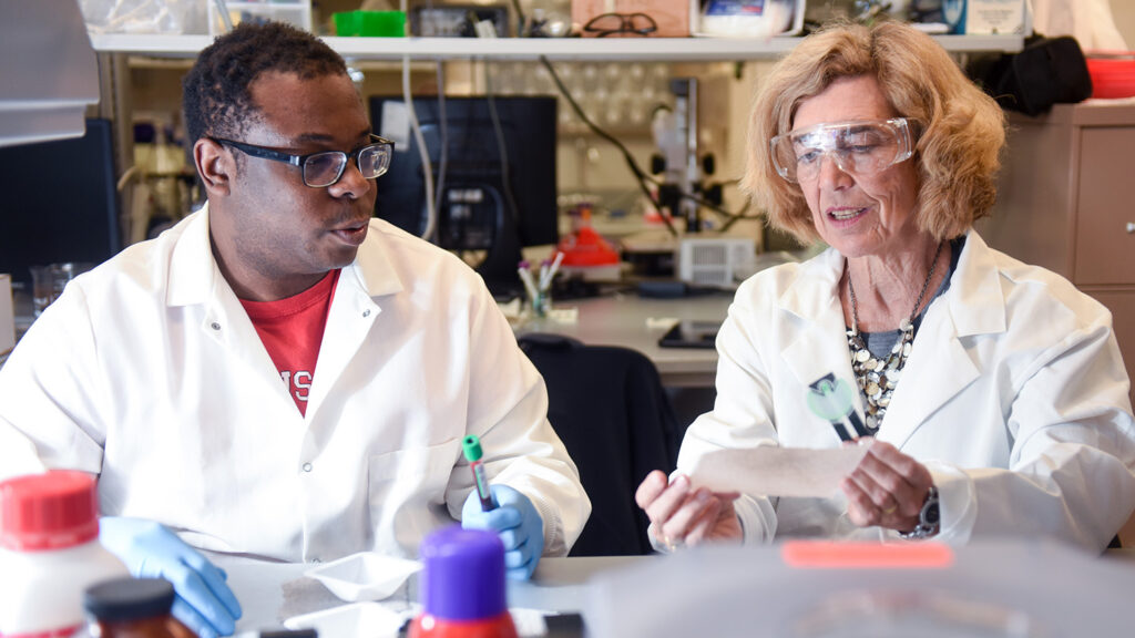 Bold Patents Raleigh, NC Office