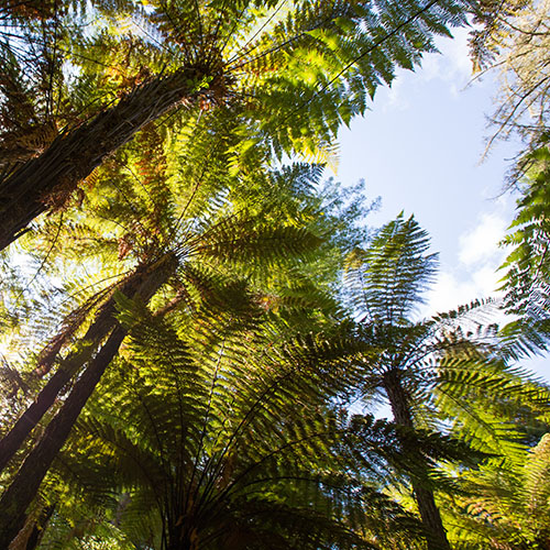 Simpson Grierson Christchurch, New Zealand Office
