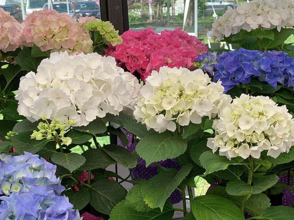 Nedder & Associates, LLC New York City, NY Office