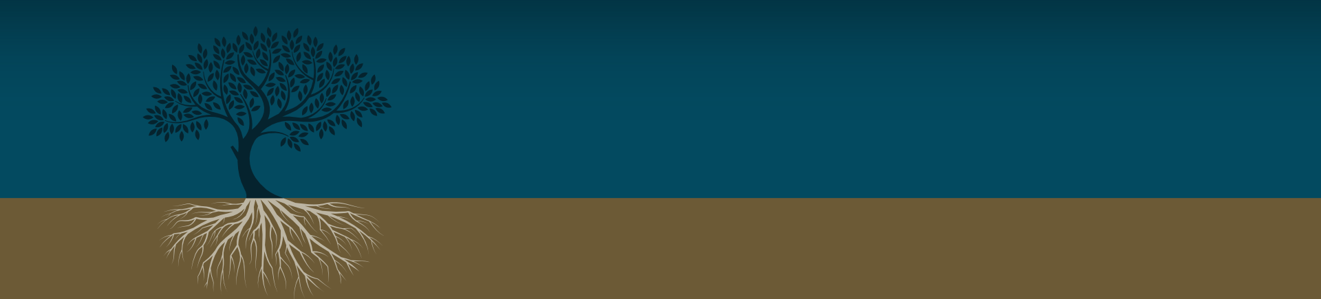 Trotter Jones, LLP Augusta, GA Office