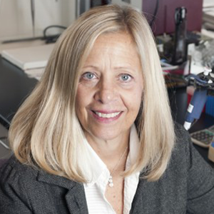 Massey & Gail LLP Chicago, IL Office