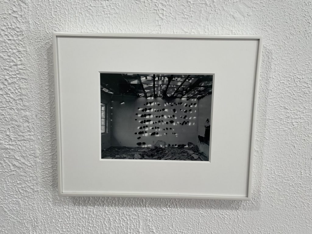 Lubov Stark LLC New York City, NY Office