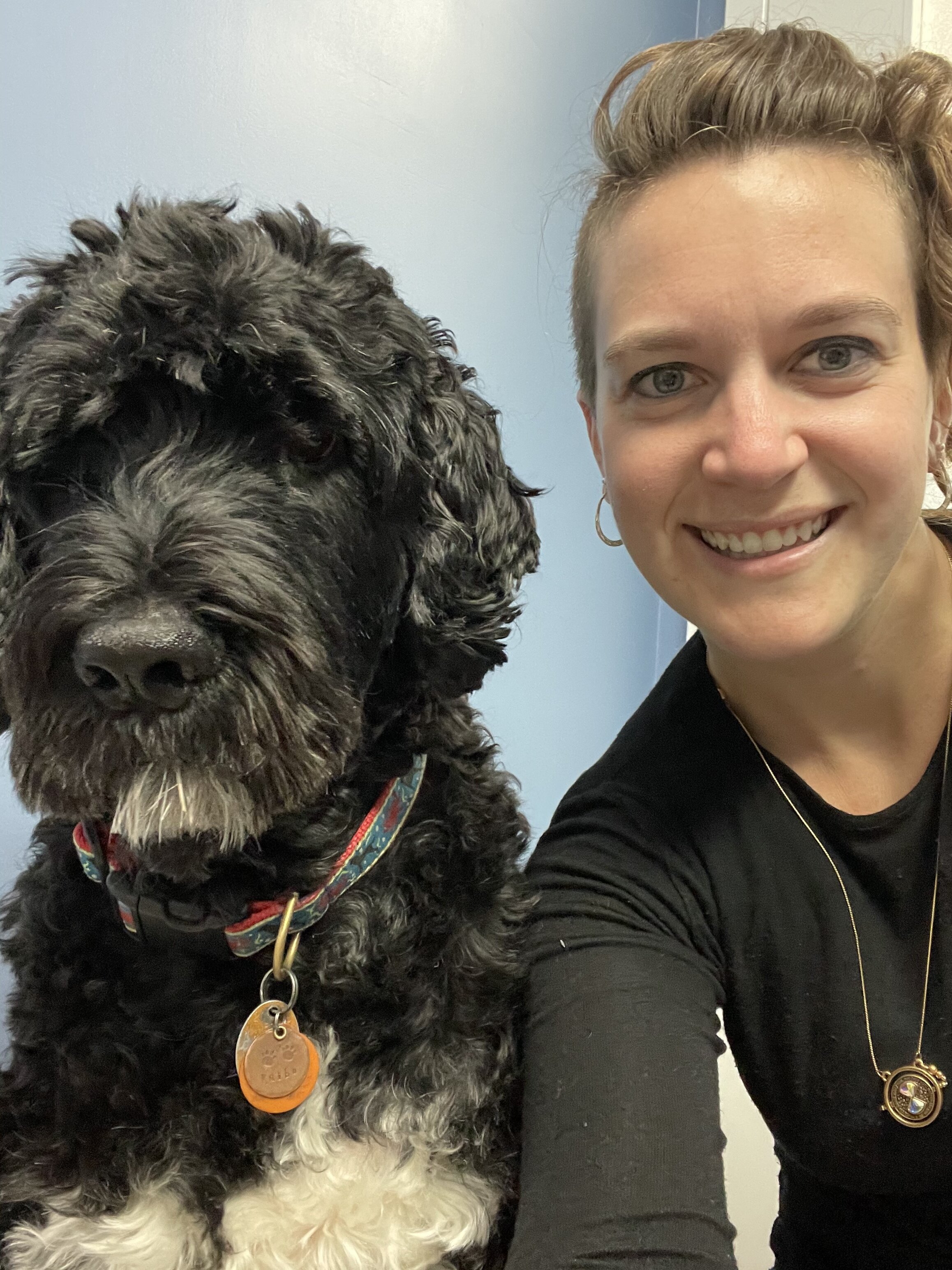 Markham Law Firm Bethesda,  Office